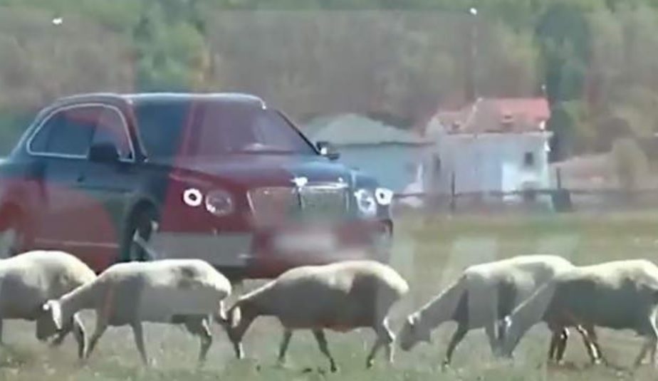 Gigi Becali, imagini spectaculoase! A ieșit cu bolidul de 200.000 de euro să vadă oile la păscut, în plină pandemie