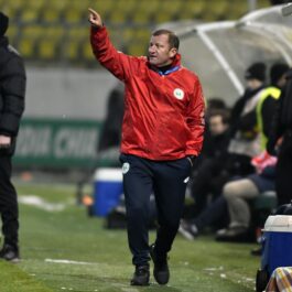 Steaua lui Dorinel
