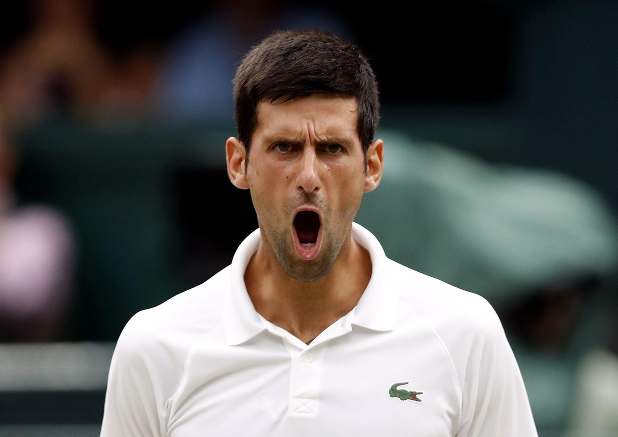 Novak Djokovic, apărat de sârbi