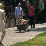 Facebook Claudiu Răducanu