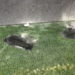 Administratorii stadionului „Arcul de Triumf” au ieșit la atac, după bătaia de la Dinamo – UTA. Imagini cu distrugerile provocate