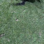 Administratorii stadionului „Arcul de Triumf” au ieșit la atac, după bătaia de la Dinamo – UTA. Imagini cu distrugerile provocate