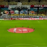 Scenografie Dinamo