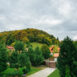 Câți bani cere Cornel Dinu pentru o vilă la Sinaia cu 6 camere și 7 băi